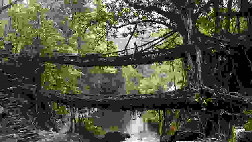 Meghalaya15.jpg