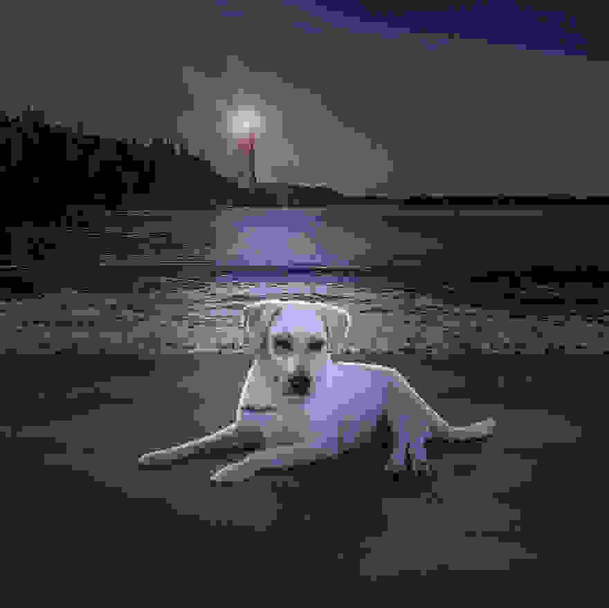 Milly-s1__880.jpg