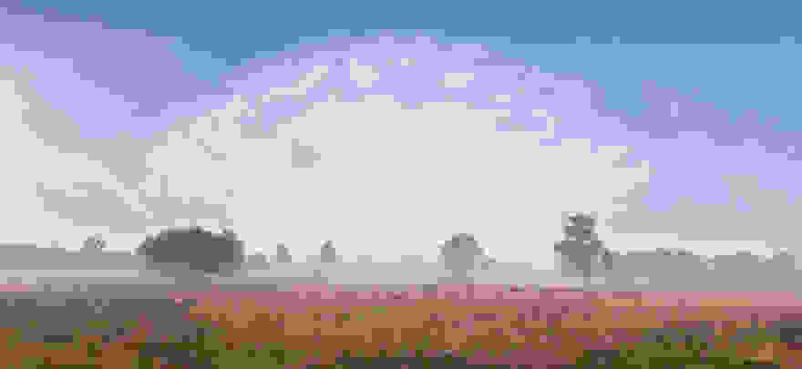 MushroomNetherlands-In-August.jpg