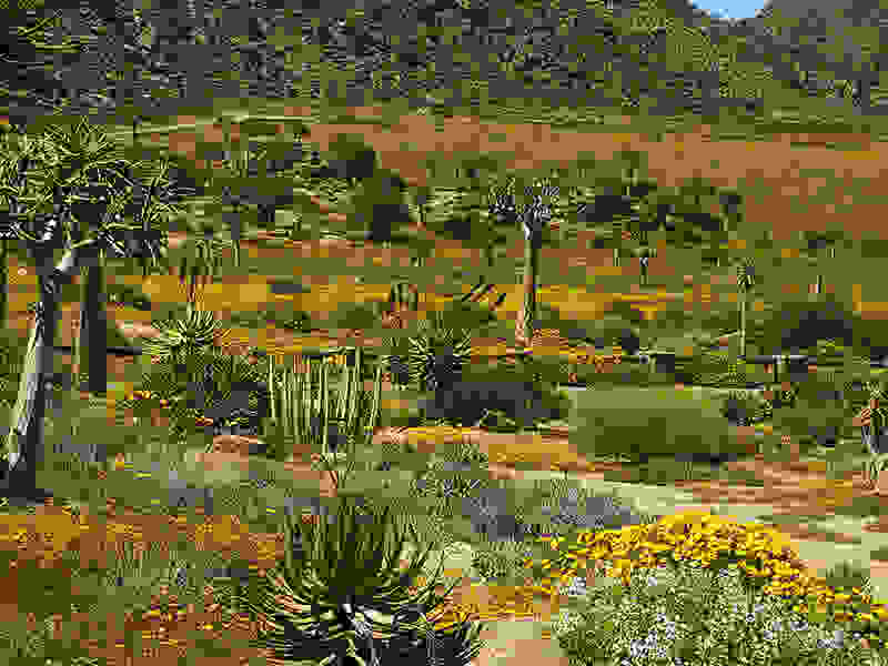 Namaqualand05.jpg