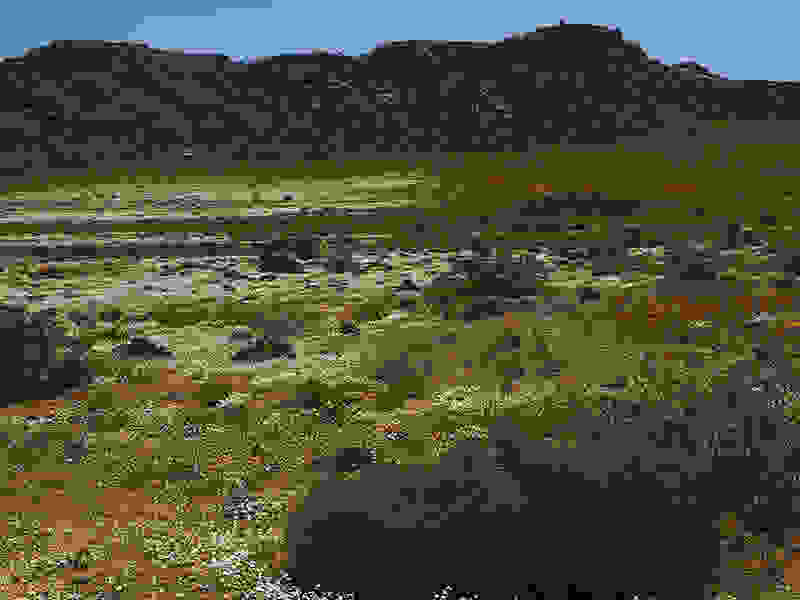 Namaqualand88.jpg