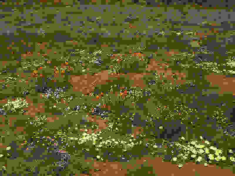 Namaqualand9.jpg