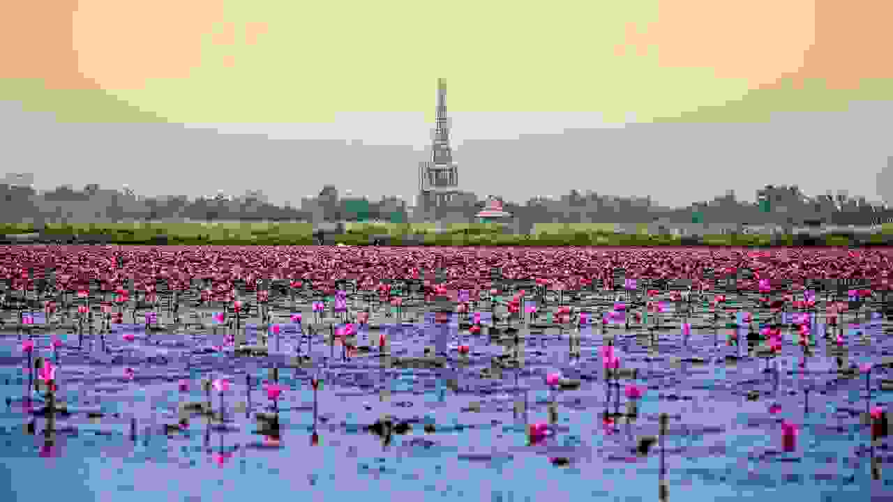 Nong-Han-Kumphawapi5.jpg