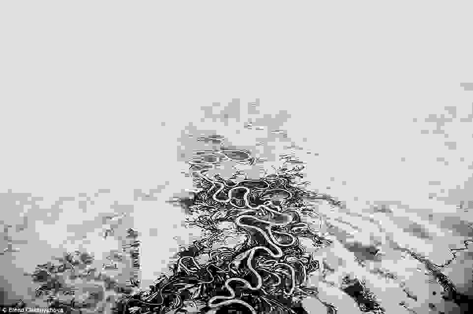 Norilsk-Siberia29.jpg