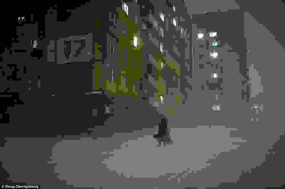 Norilsk-Siberia34.jpg