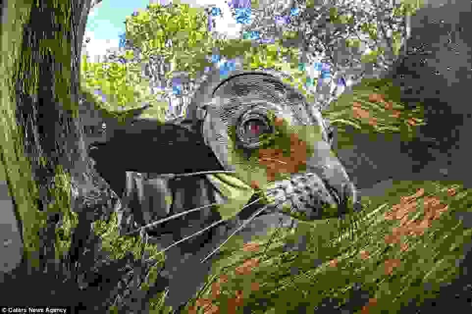 Octavio-Aburto-Galapagos04.jpg
