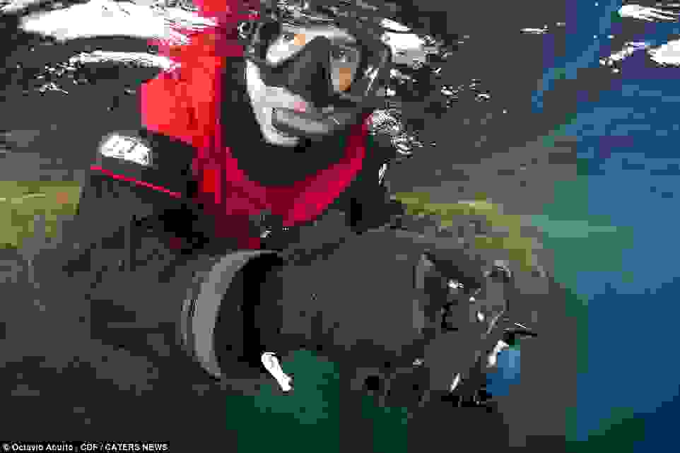 Octavio-Aburto-Galapagos1.jpg