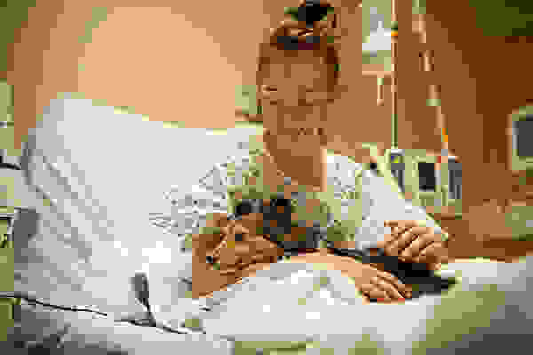Pet-in-hospitals.jpg