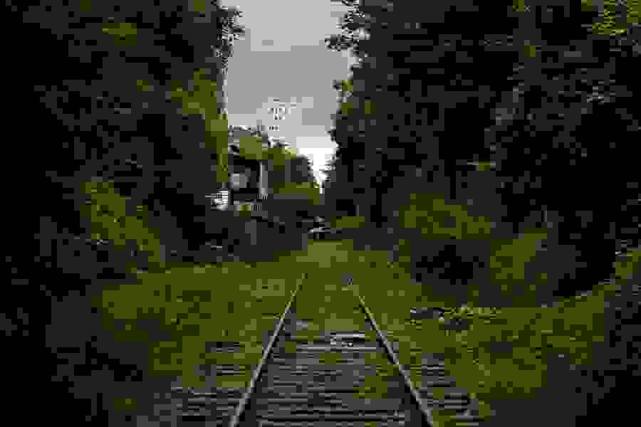 Petite-Ceinture-02.jpg