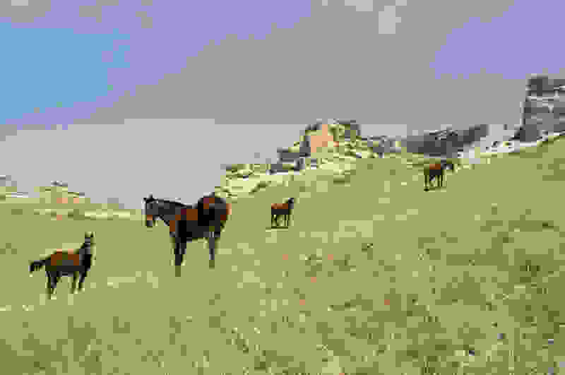Petros-Koublis-Santorini11.jpg