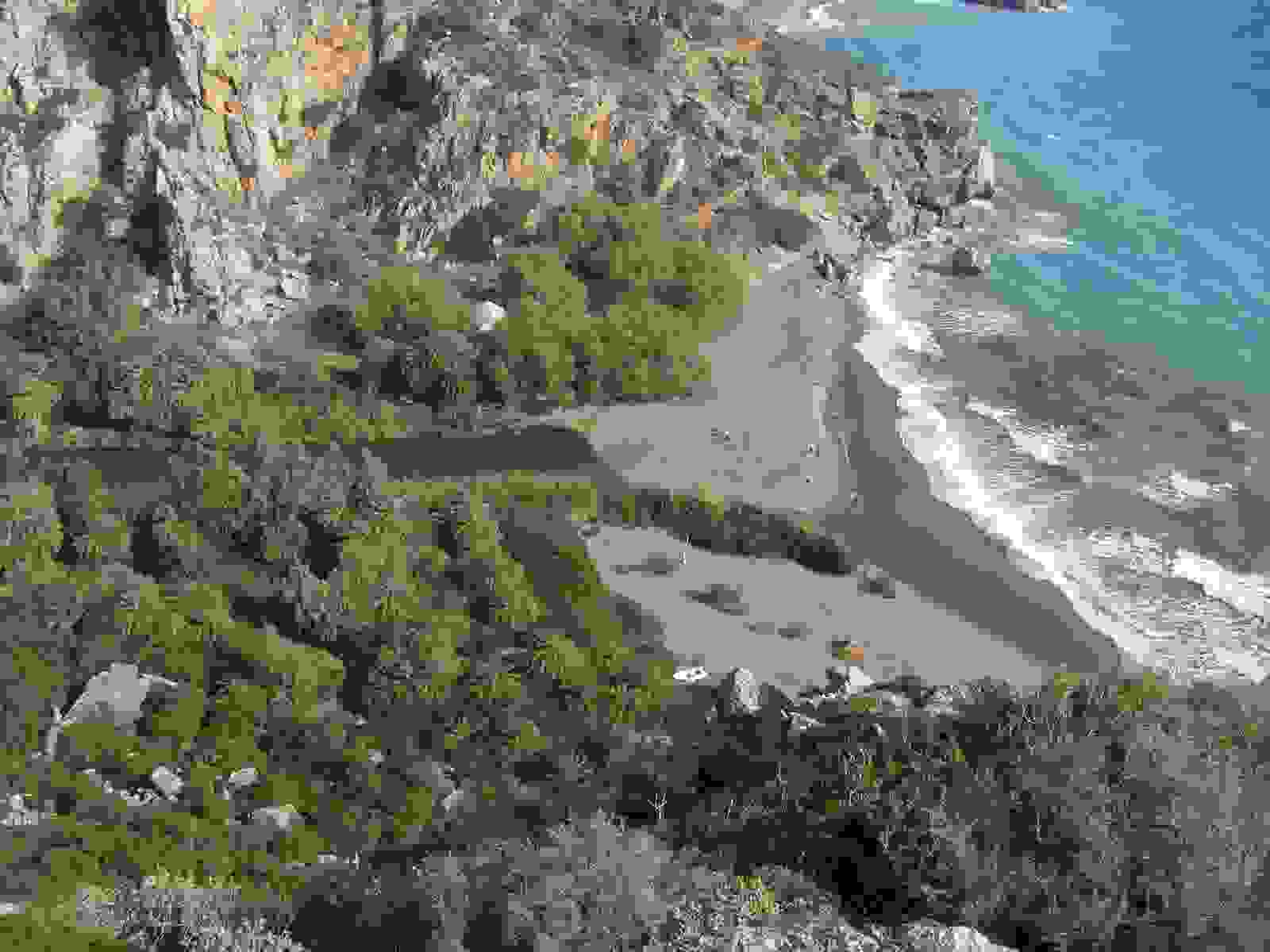 Preveli