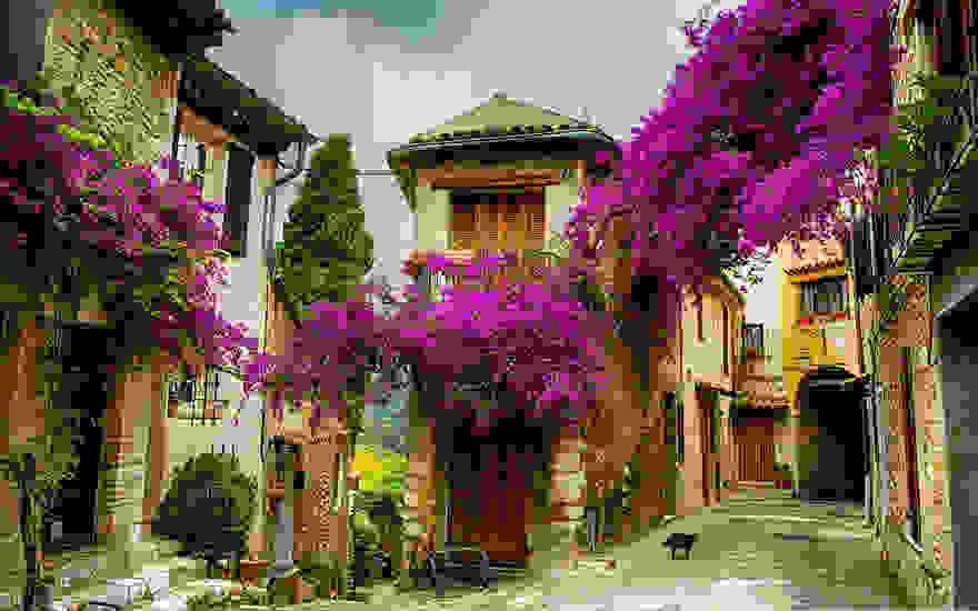 Provence-France0.jpg