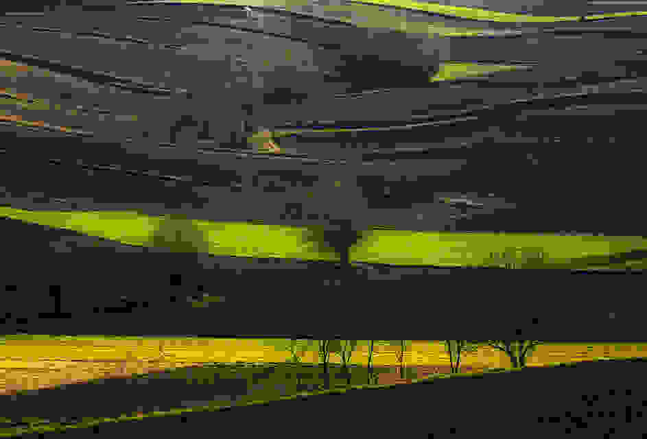 Przemyslaw_Kruk0.jpg