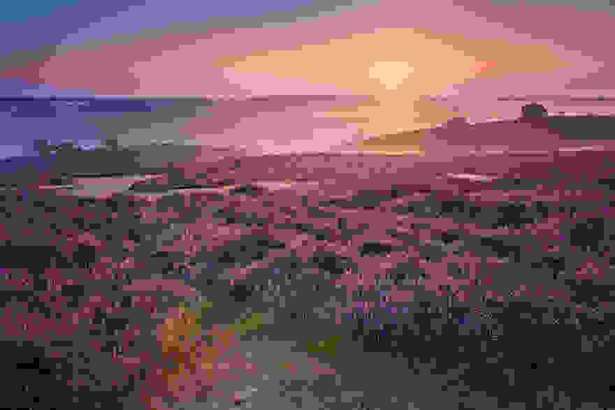 Purple-Hills0.jpg