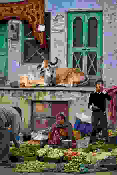 Pushkar-India-market.jpg