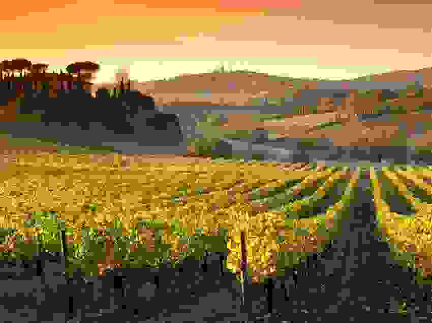 San-Gimignano85.jpg