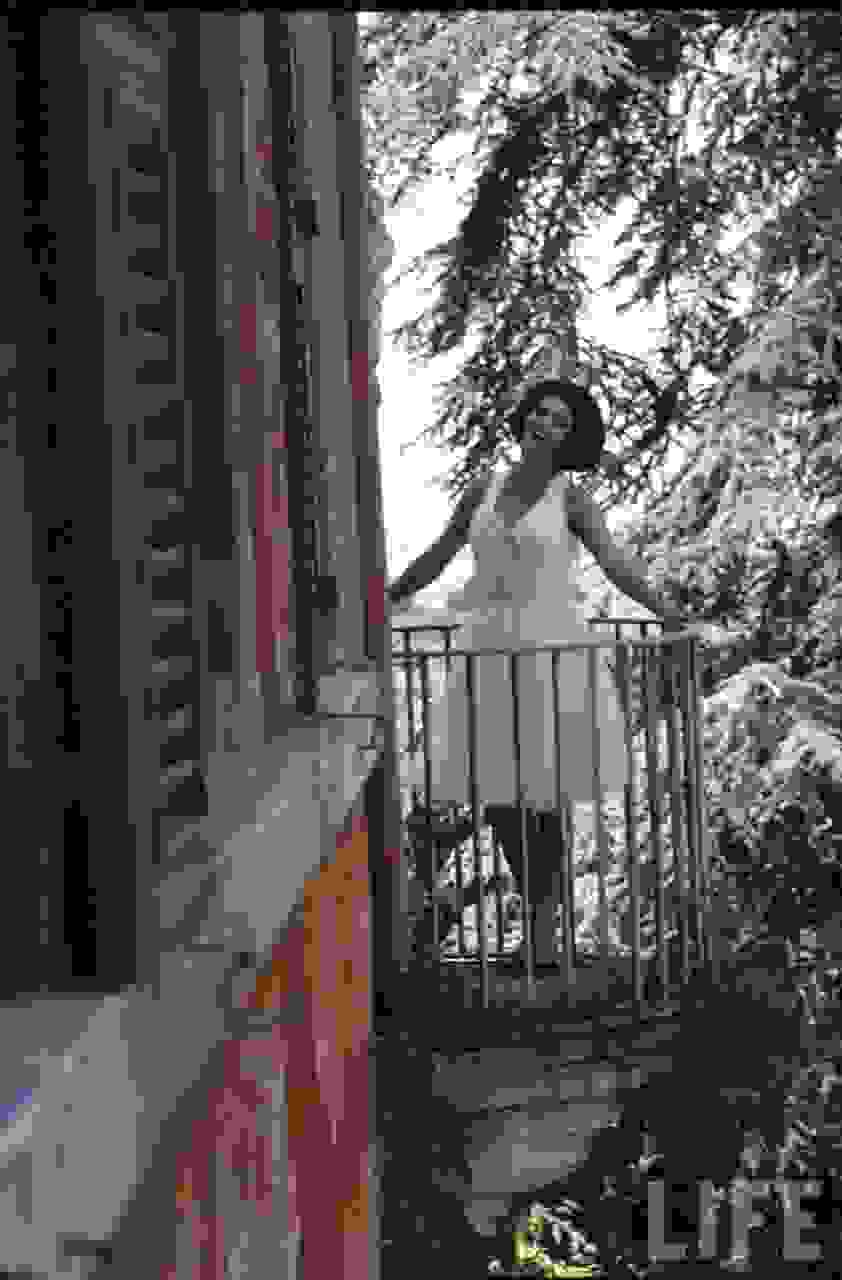 Sophia_Loren_8.jpg