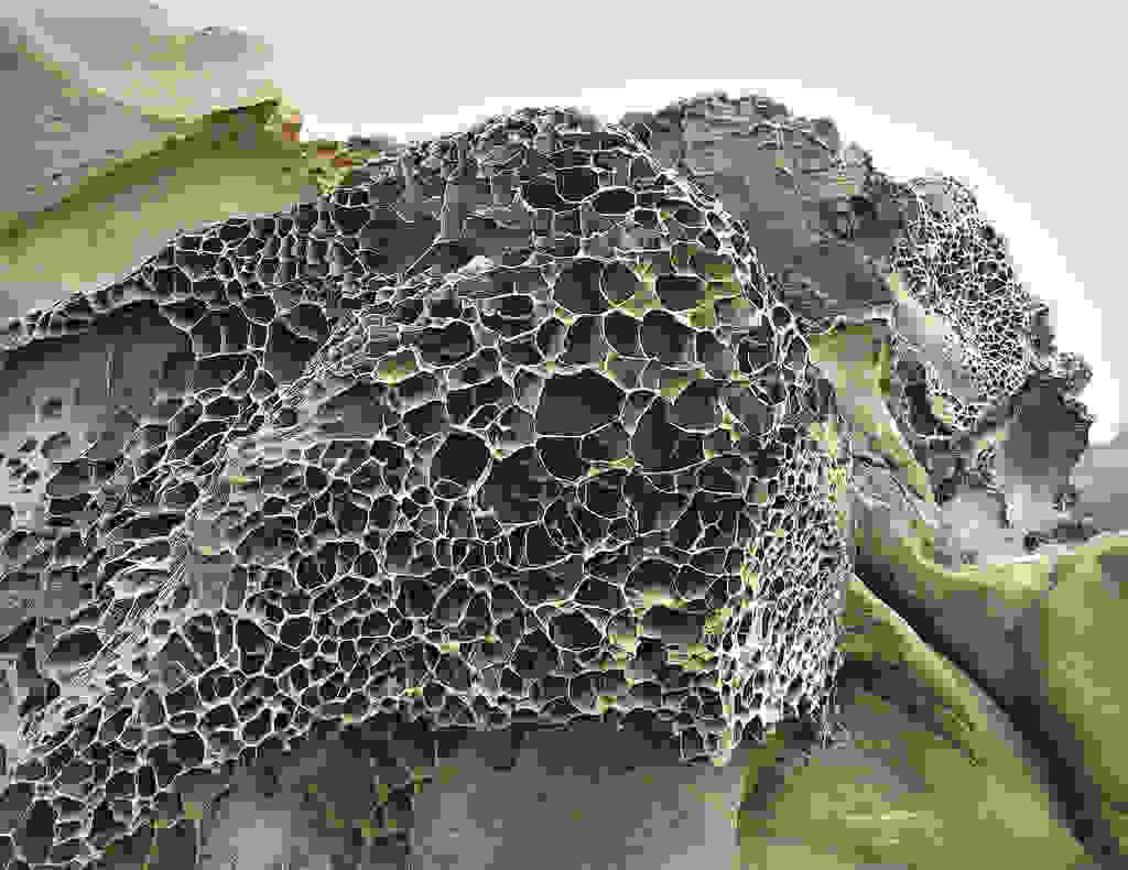 Tafoni-21.jpg