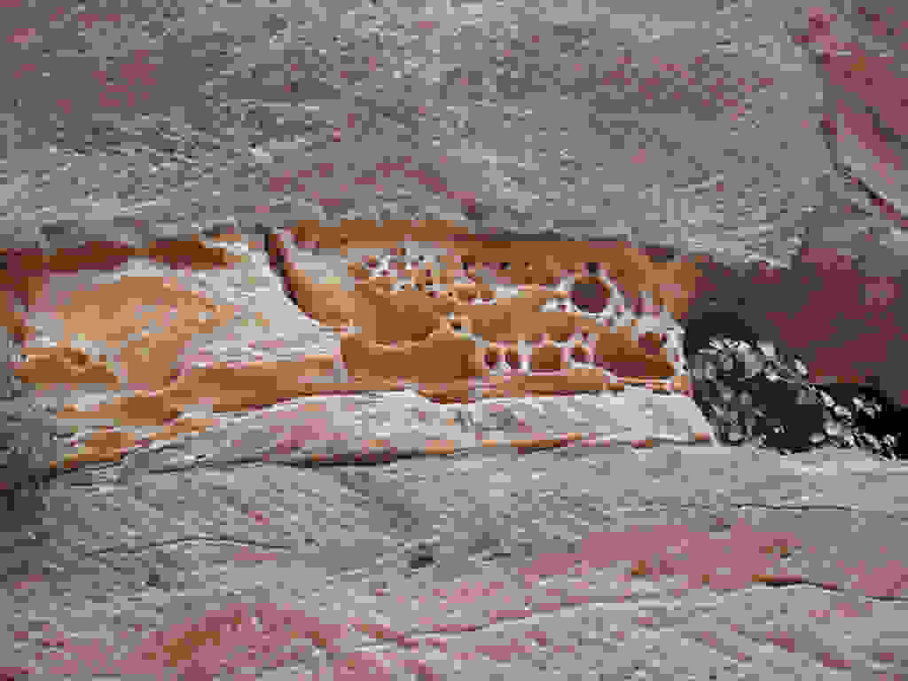 Tafoni-7.jpg