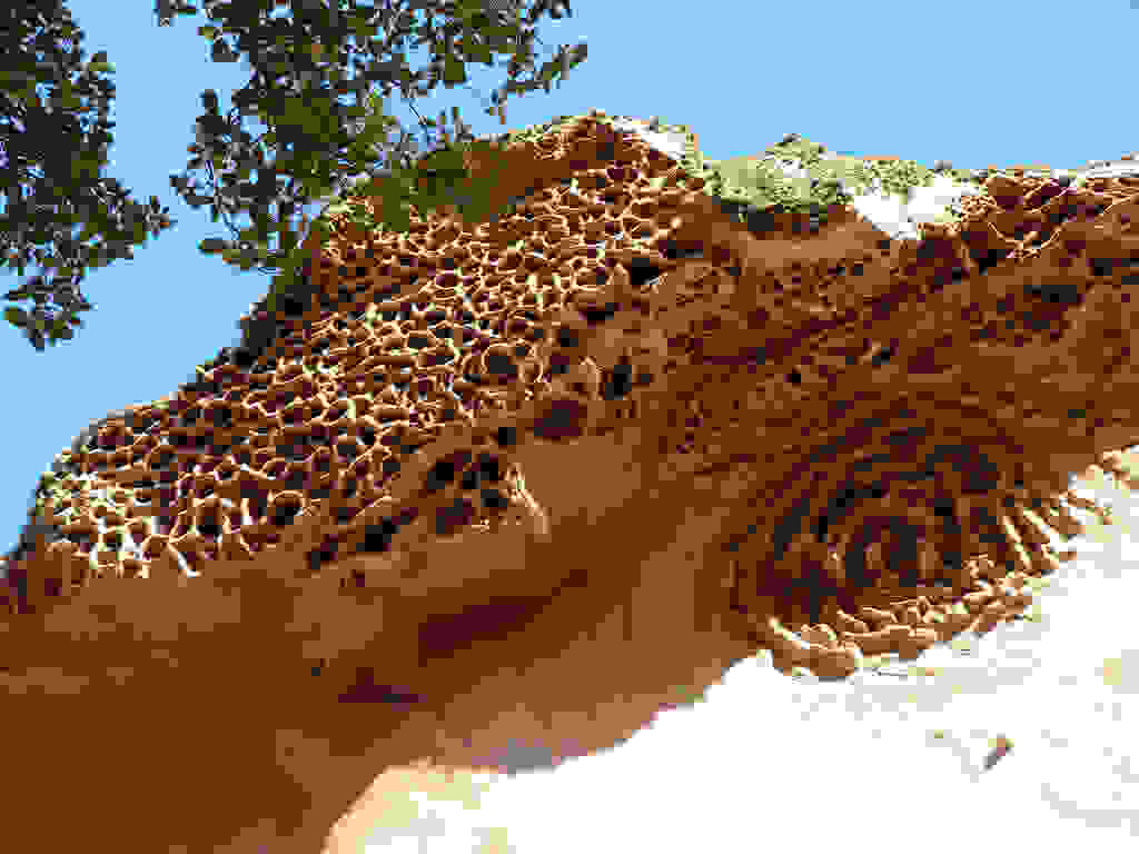 Tafoni-99.jpg