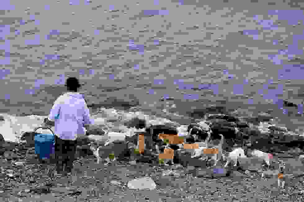 Tashirojima-7.jpg