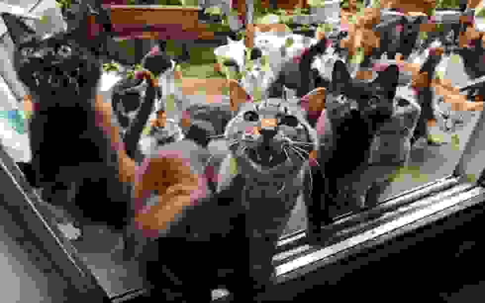 Tashirojima0.jpg