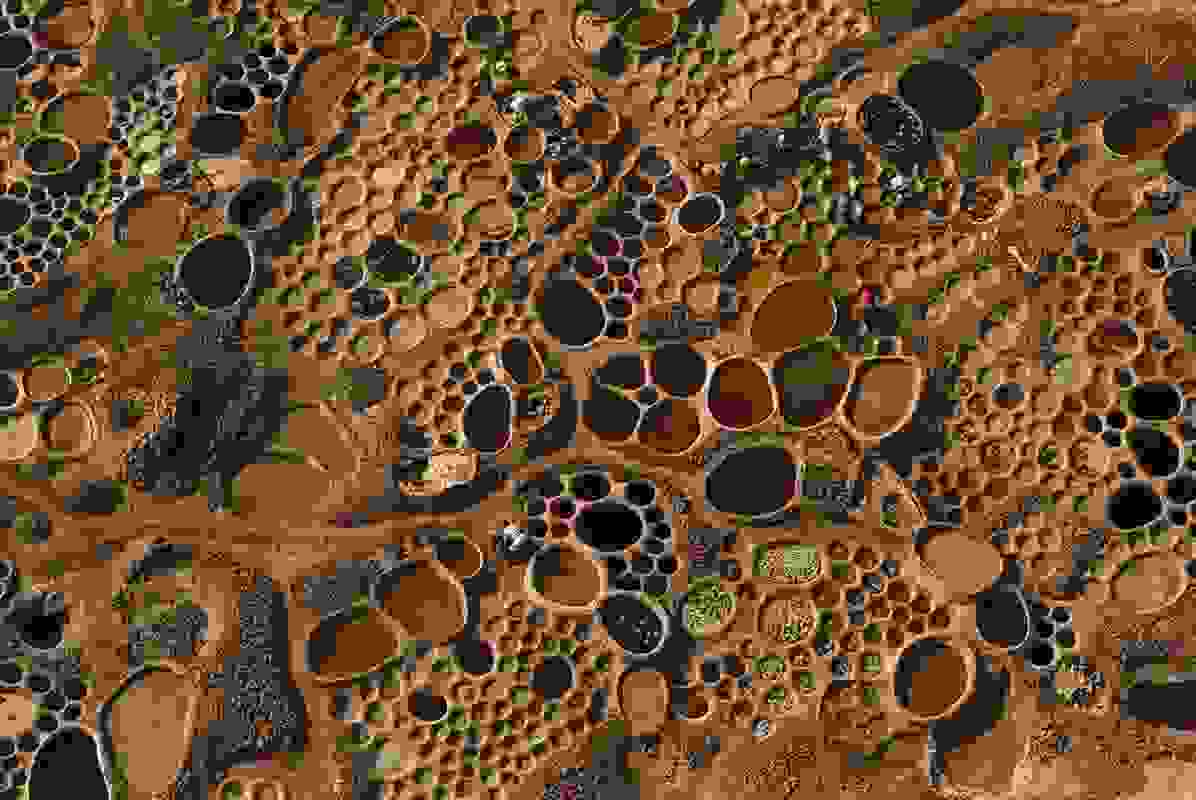 Teguidda-n-Tessoumt_00.jpg