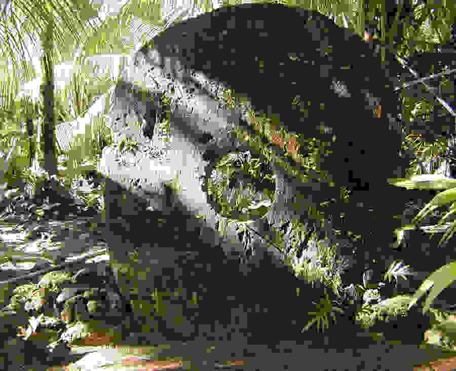 Yap-Stone-Money.jpg
