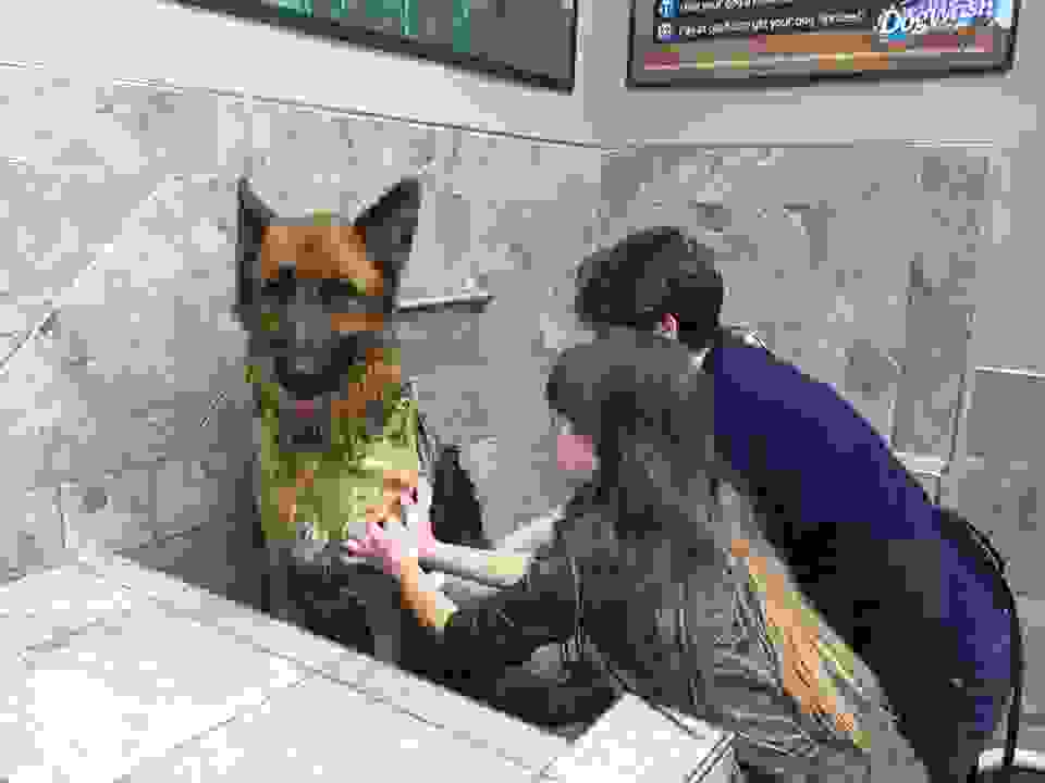 Zachary-Paws-For-Healing-4.jpg