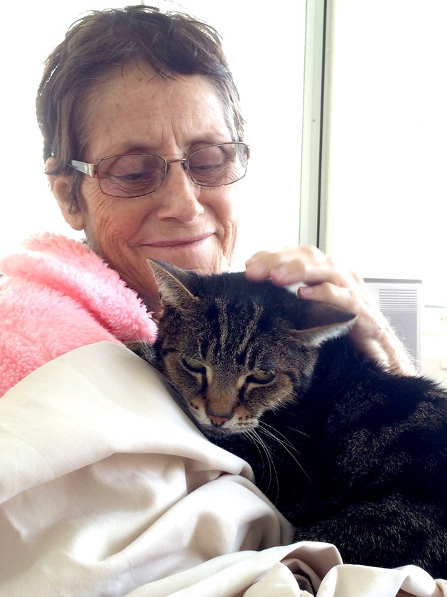 Zachary-Paws-For-Healing-8.jpeg