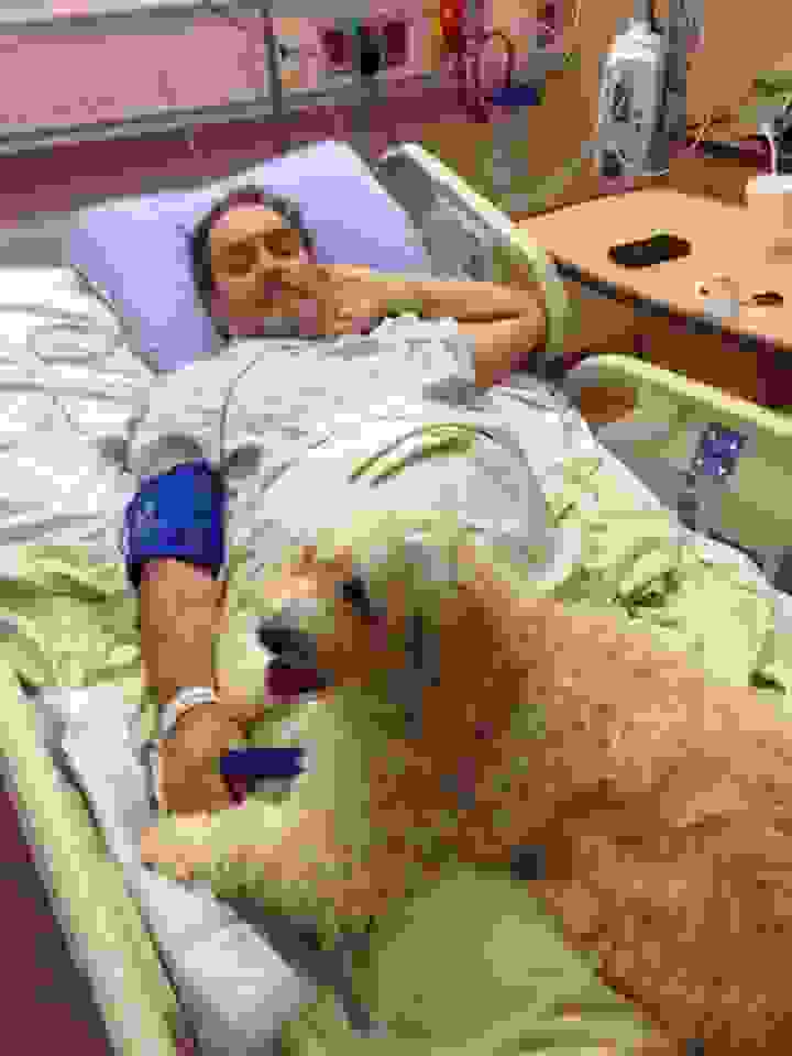 Zachary-Paws-For-Healing2.jpg