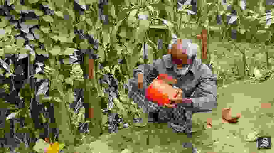 abduld.jpg