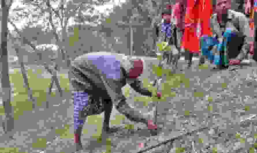 abdulg.jpg