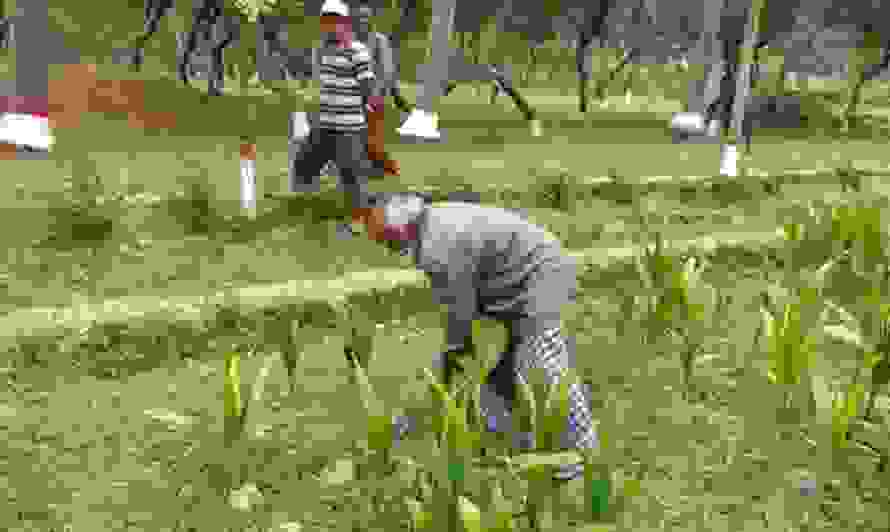 abdulh.jpg