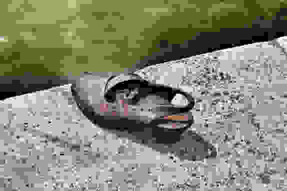 about-shoes-on-the-danube3_574_383.jpg