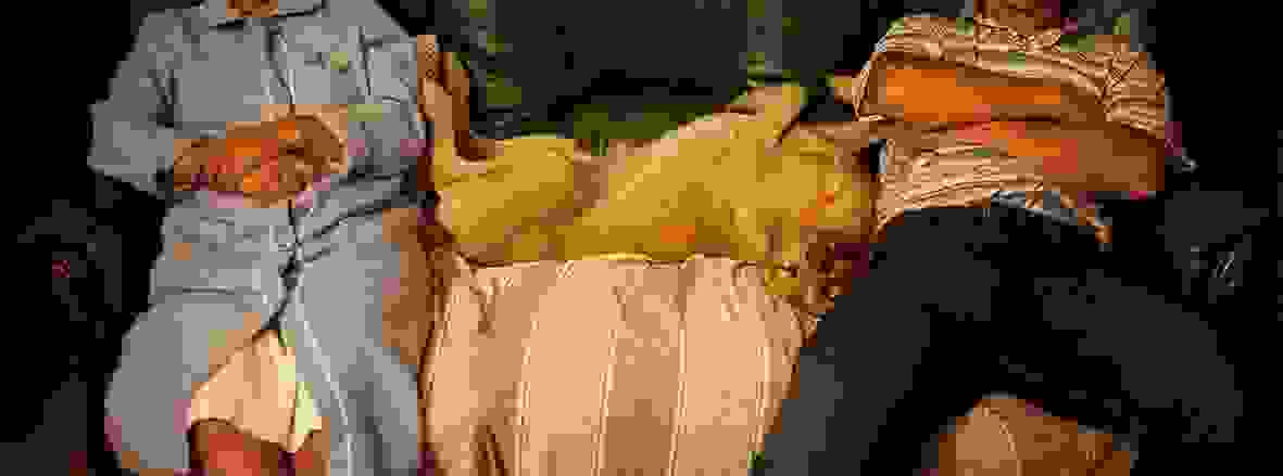 adespoto-skylaki4.jpg