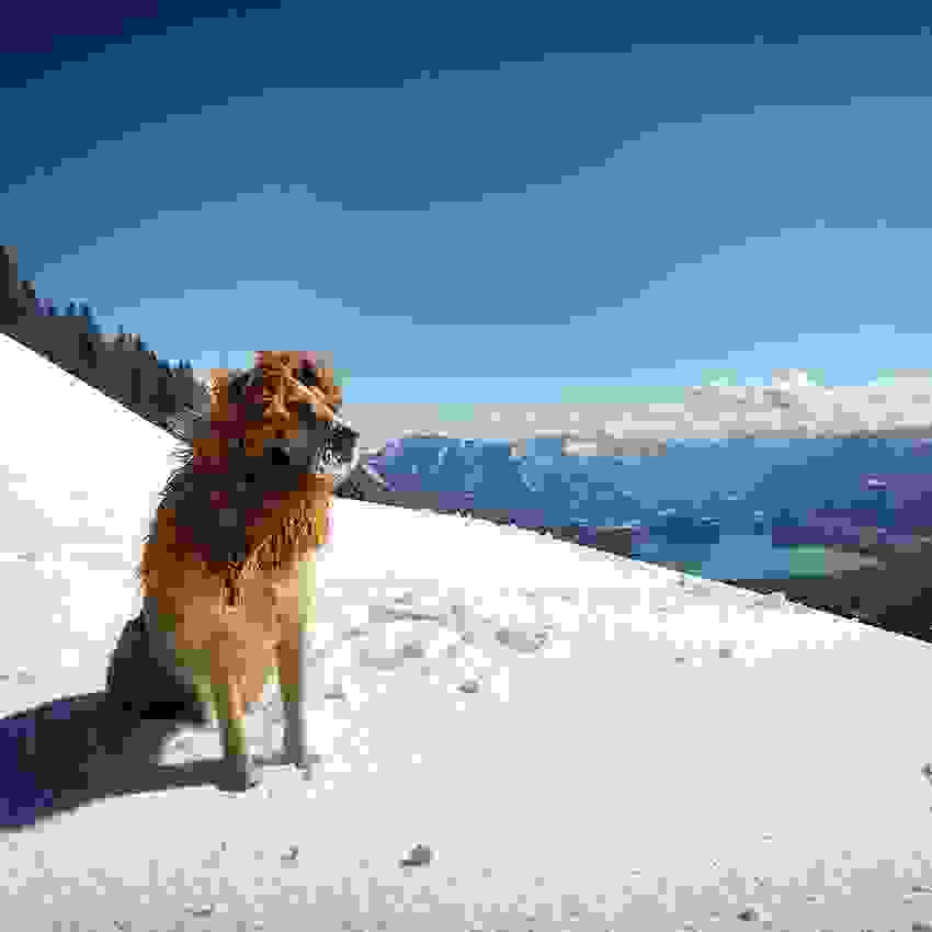 adespoto-skylaki5.jpg