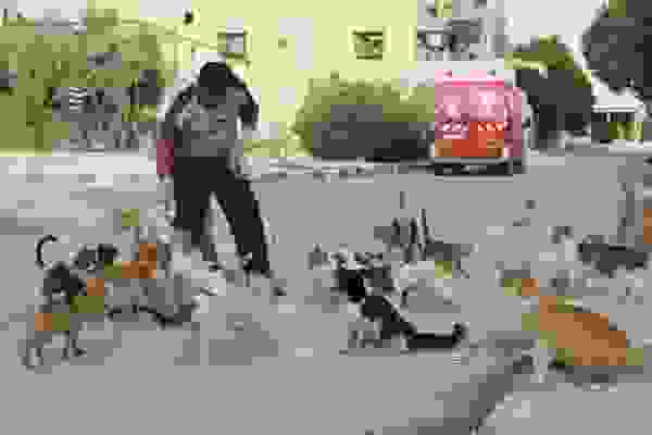 alaa-2.jpg
