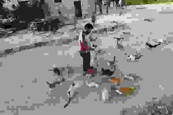 alaa-7.jpg