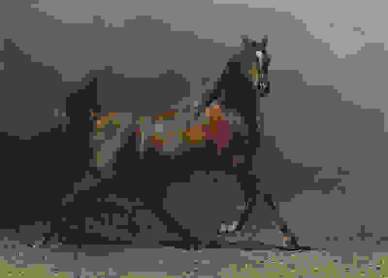 aloga-Wojtek-Kwiatkowski-17.jpg