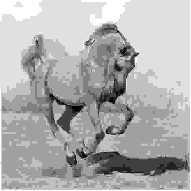 aloga-Wojtek-Kwiatkowski-18.jpg