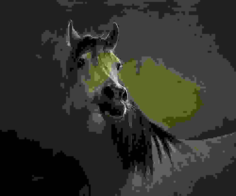 aloga-Wojtek-Kwiatkowski-3.jpg