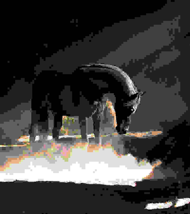 aloga-Wojtek-Kwiatkowski-4.jpg