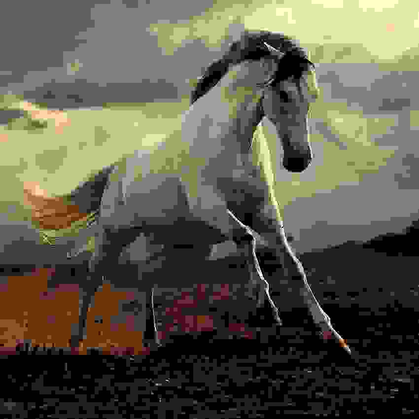 aloga-Wojtek-Kwiatkowski.jpg