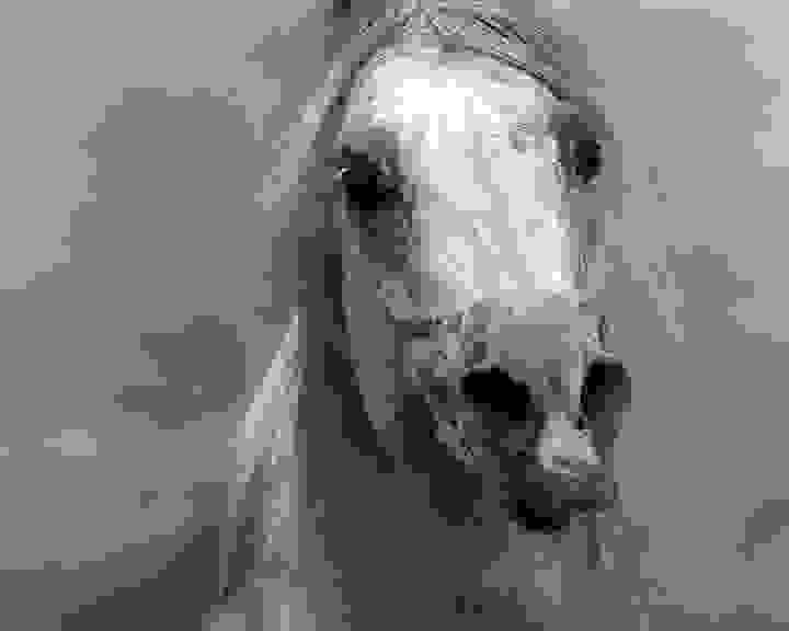 aloga-Wojtek-Kwiatkowski3.jpg