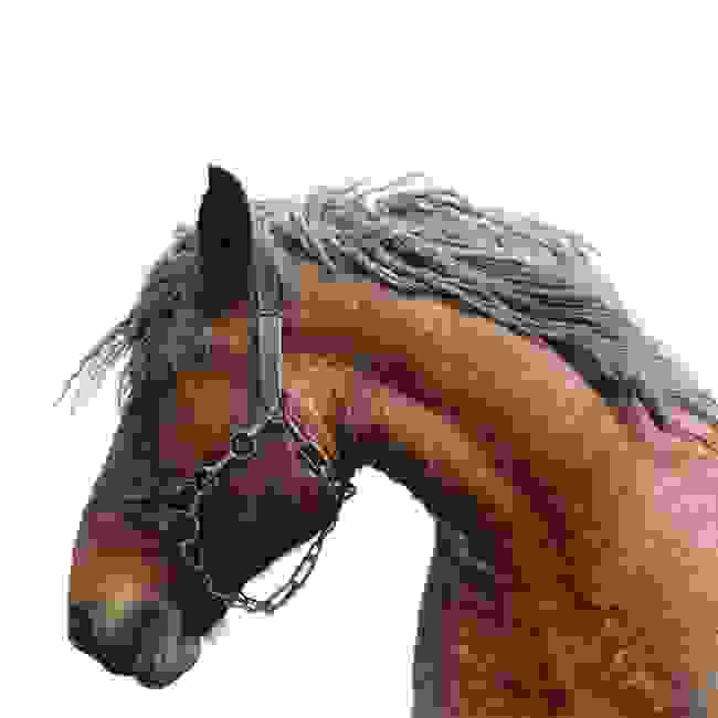 aloga11.jpg