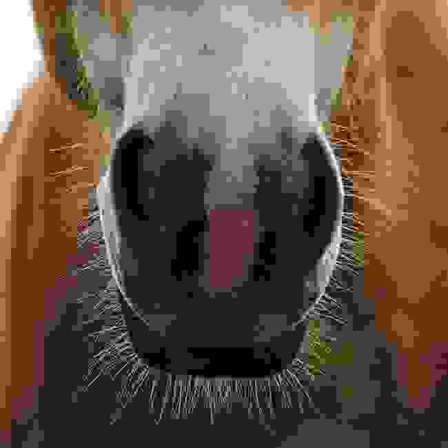 aloga7.jpg