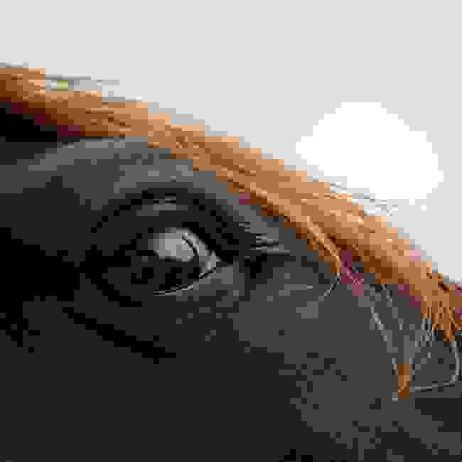 aloga8.jpg