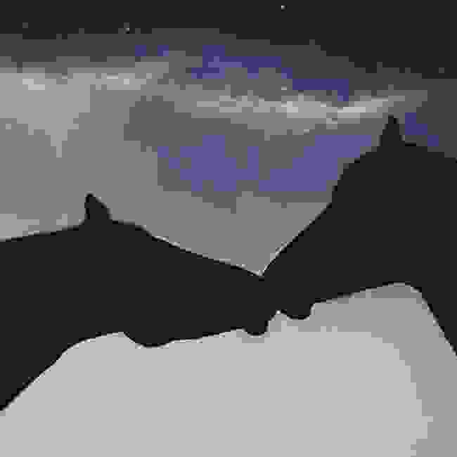 aloga9.jpg
