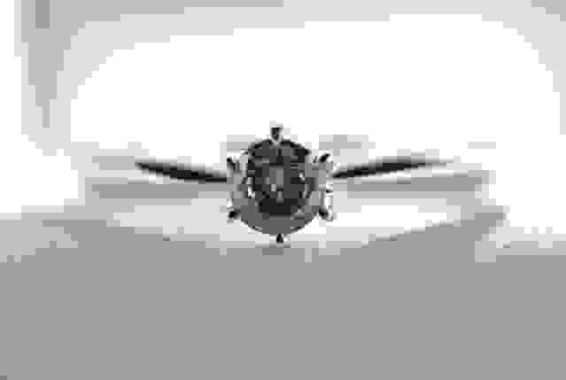aloganza4.jpg
